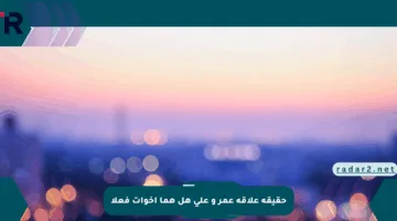 حقيقة علاقة عمر و على هل هما إخوات فعلا
